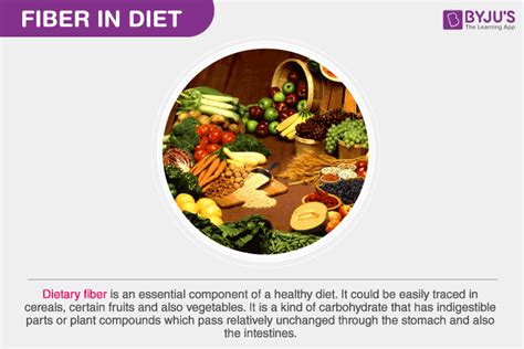 fiber biology|Dietary Fiber .